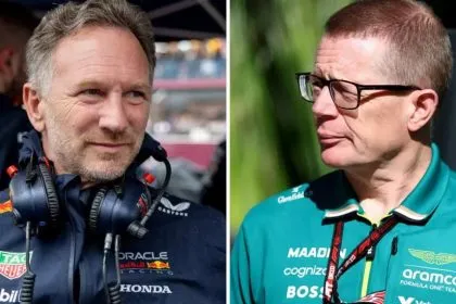 گفته شده است هورنر مدیر تیم سبز F1 خواهد شد.لارنس استرول، مالک تیم استون‌مارتین، پس از اختلافاتی میان کاول و آدرین نیوی آماده‌ اقدام است.